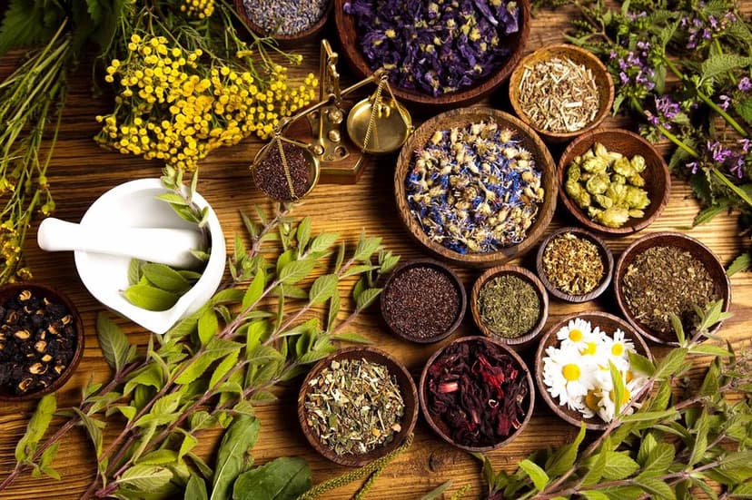 Herbal Medicine: Nature’s Healing Power